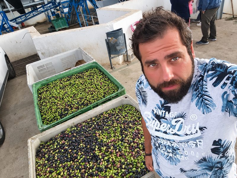 El Rincón del Lagarto — Aceite de Oliva « El Niño »