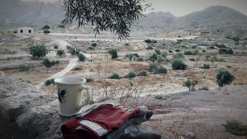 El Rincón del Lagarto — Aceite de Oliva « El Niño »